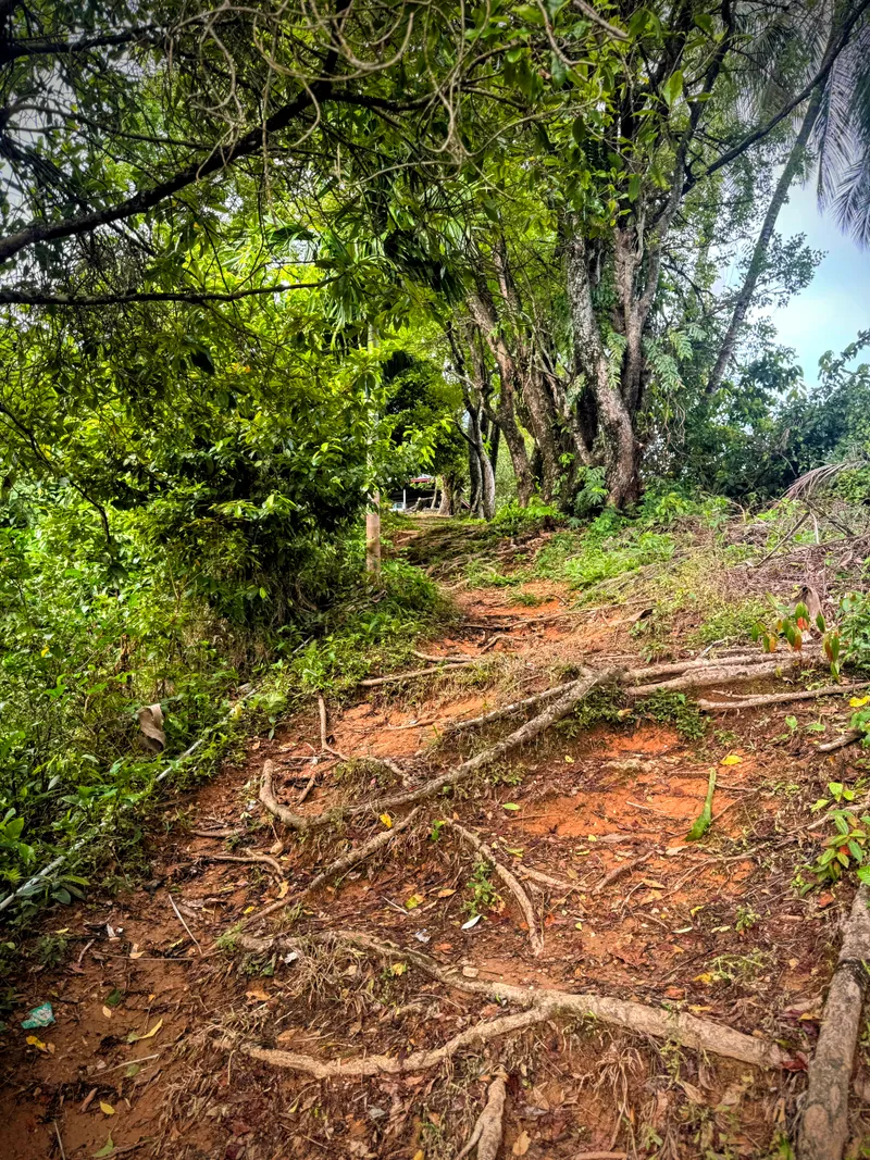 Jalur hiking di Gunung Padang
