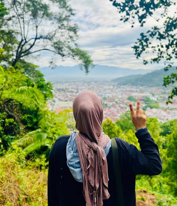 Pemandangan dari Gunung Padang