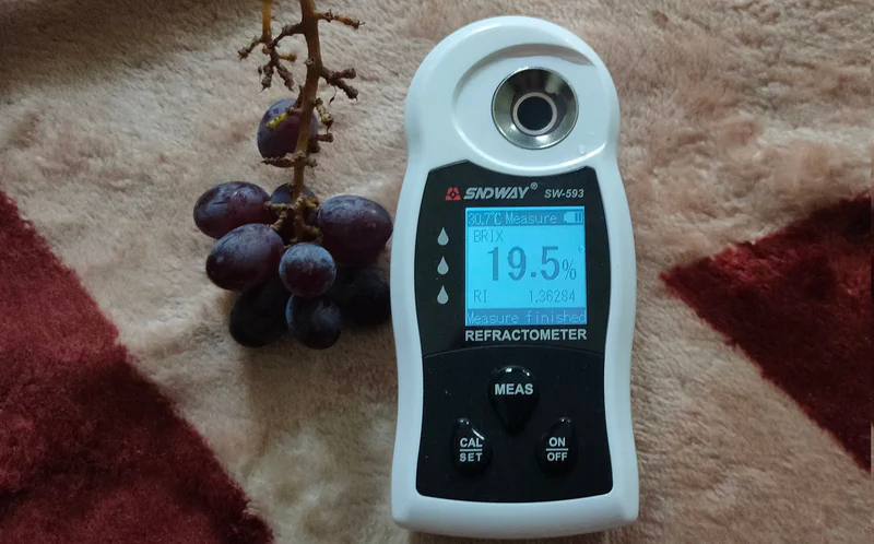 Tes Brix pada Anggur Jupiter