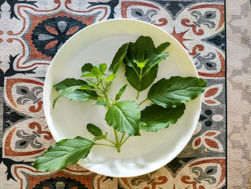 Daun Ruku-ruku di atas piring