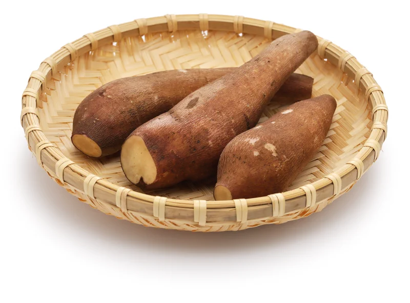 Jangan Tanam Yakon di Dataran Rendah