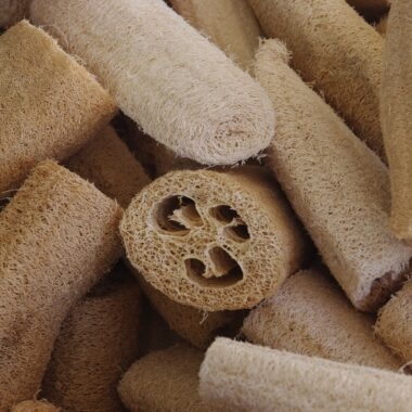 Luffa / Blustru yang sudah kering