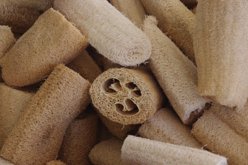Luffa / Blustru yang sudah kering