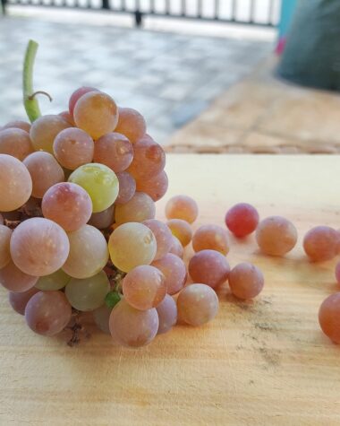 Anggur Aroma Delight