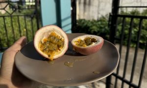 Markisa M571 yang sudah matang