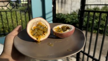 Markisa M571 yang sudah matang