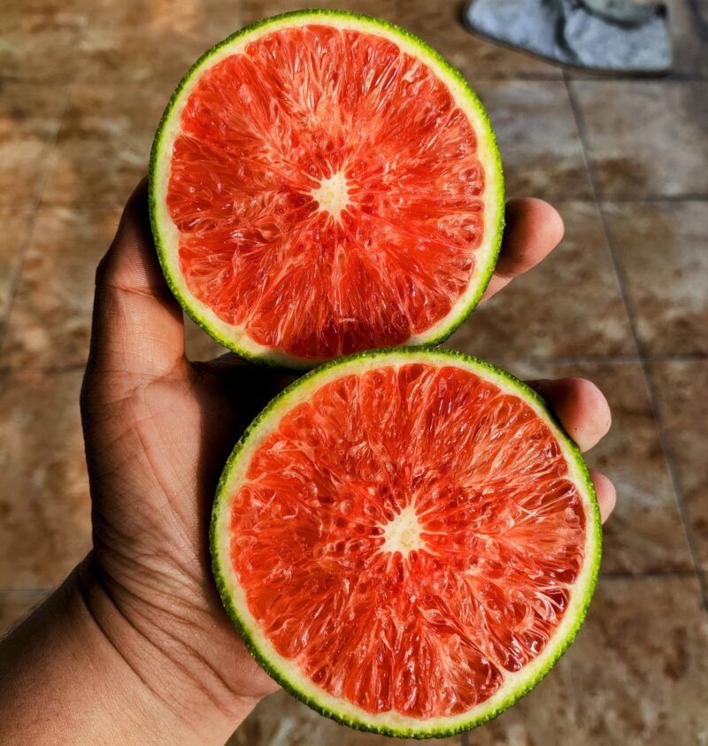 Jeruk Navel Cara Cara